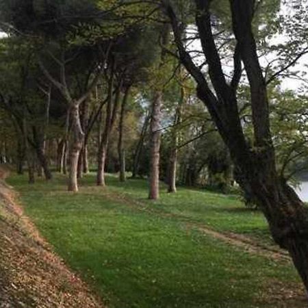 Pisa Appartamento Bonaini Exteriör bild